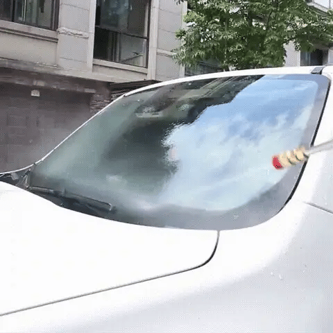 Limpieza de carro con hidrolavadora inalámbrica Wortek